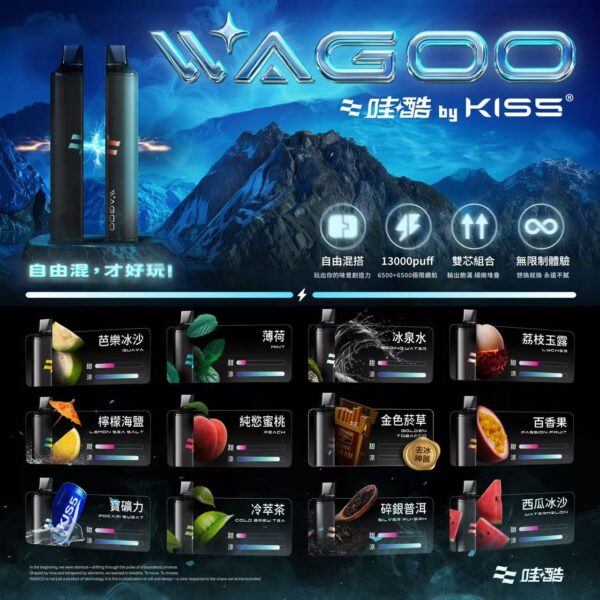 WAGOO 6500口拋棄式電子煙 | KIS5 高端品牌新品上市